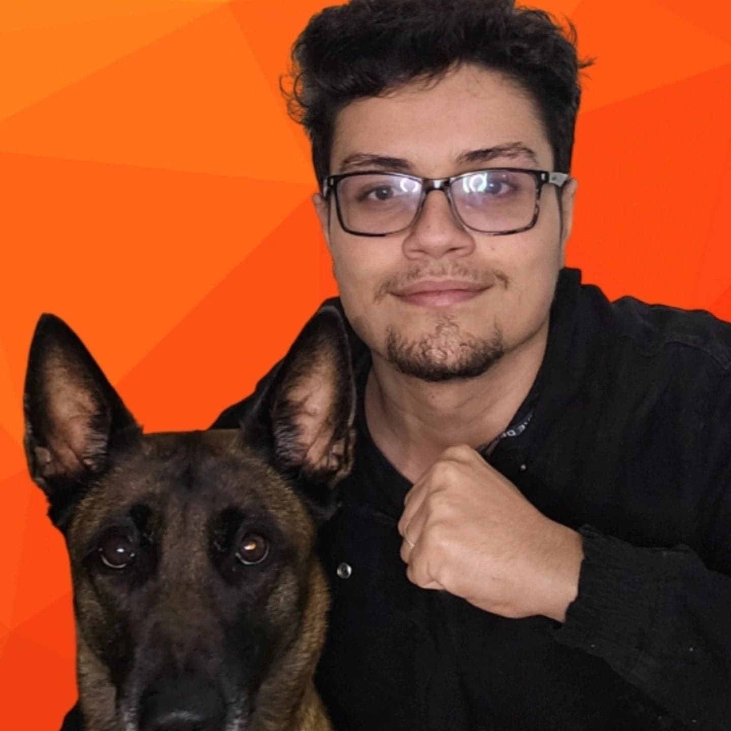Cão treinado e feliz